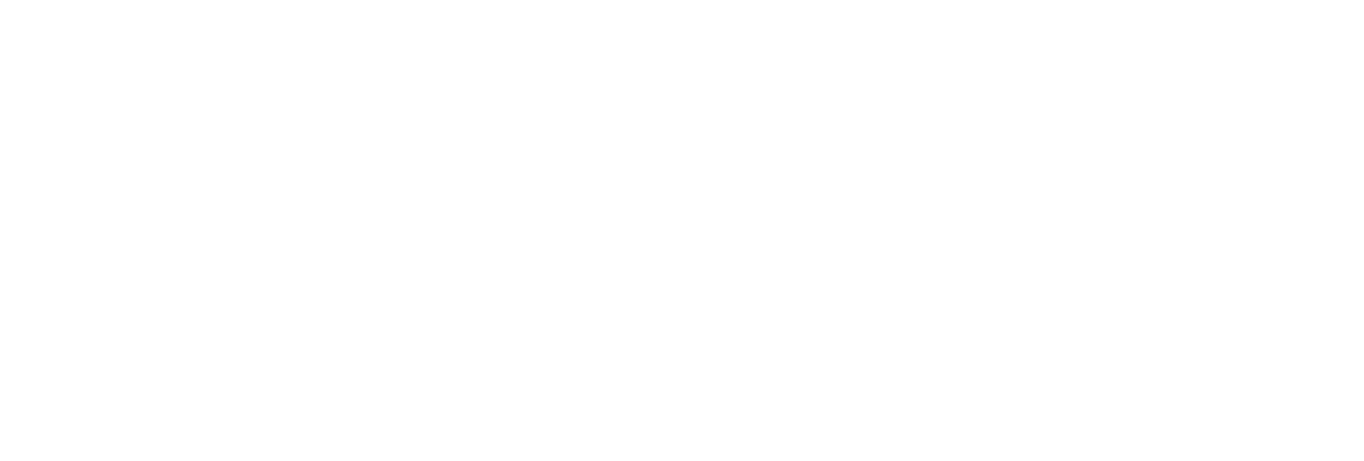 Disney Media Distribution